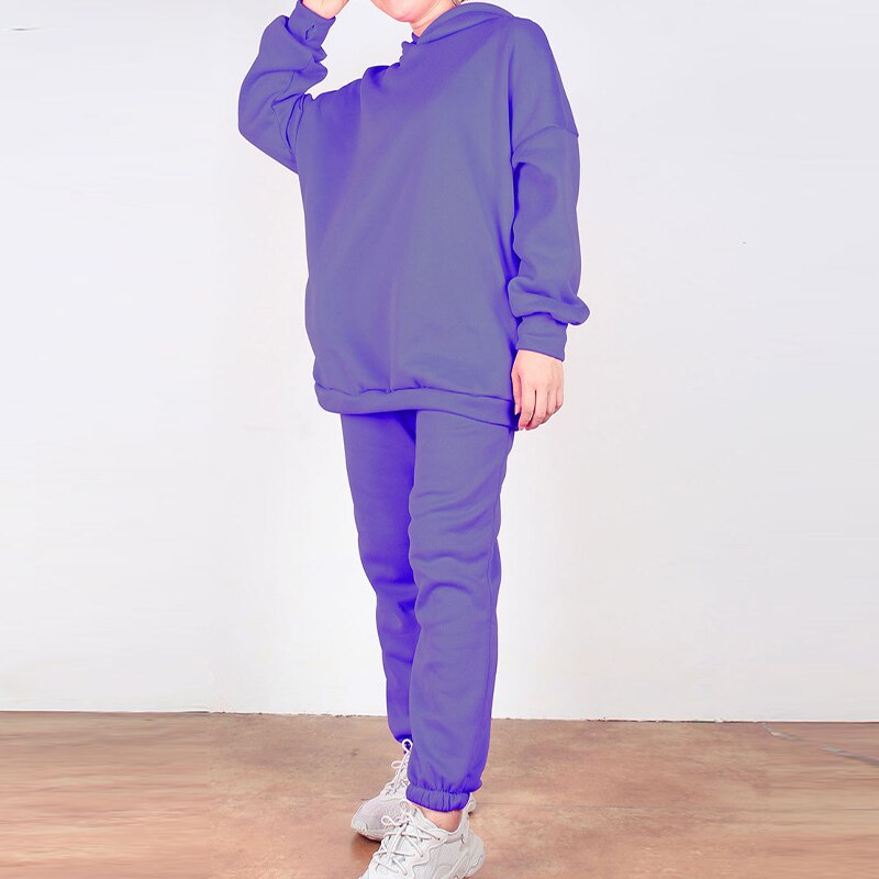 Hooded Sweatshirt and Pants Tracksuit Set