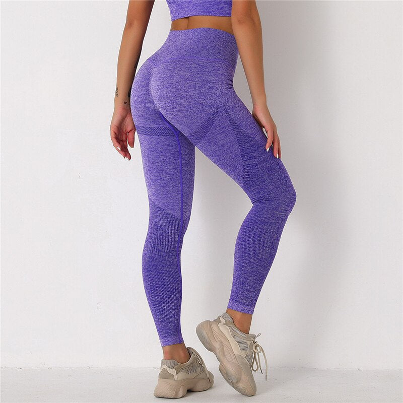 Fitness Seamless Leggings and Stretchy Bra Sets