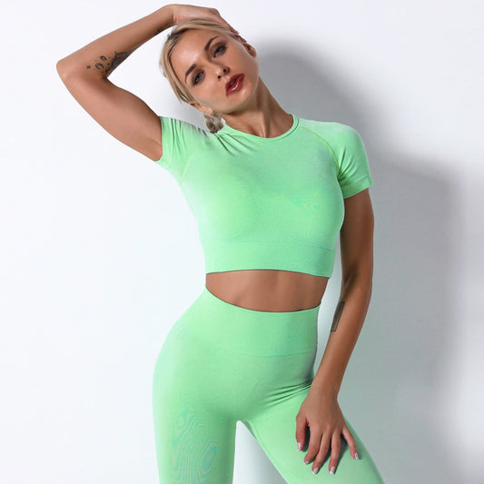 Seamless T-Shirts Solid Slim Crop Top